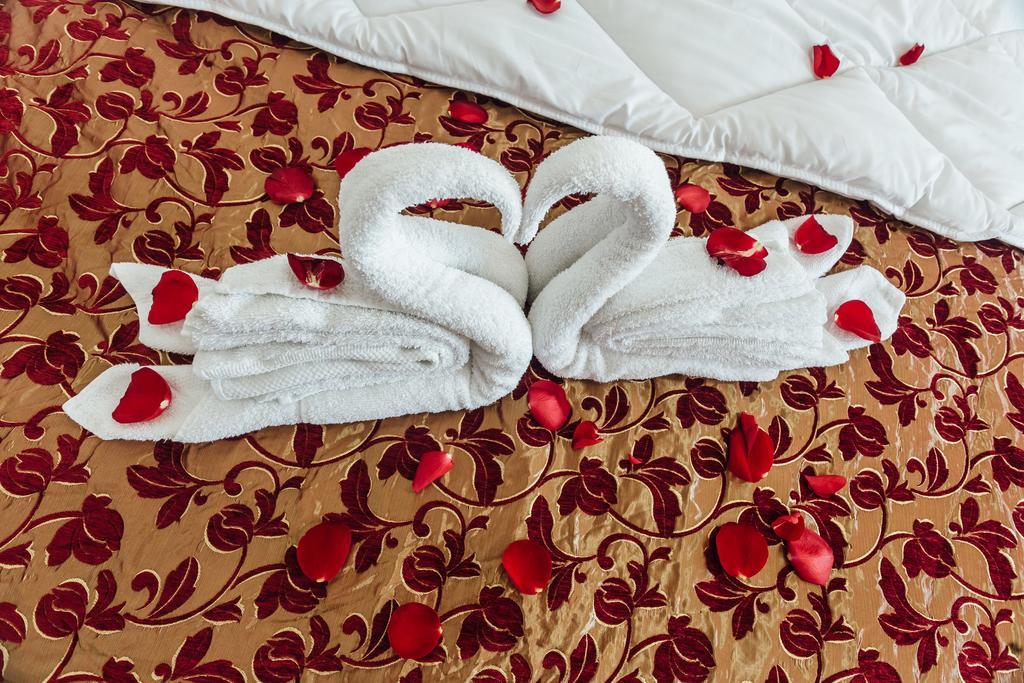 Hotel Azzurro Херцег Нови Екстериор снимка